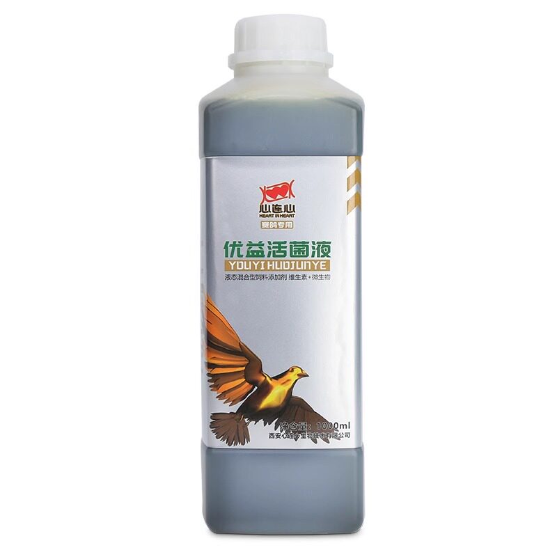 活菌鸽药鹦鹉鸟鸽子活菌1000ml