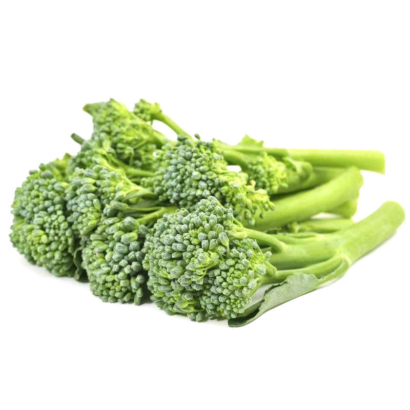 西兰苔一号种子种籽正宗西兰花芥兰菜心四季西兰苔菜苗秧苗蔬菜苗