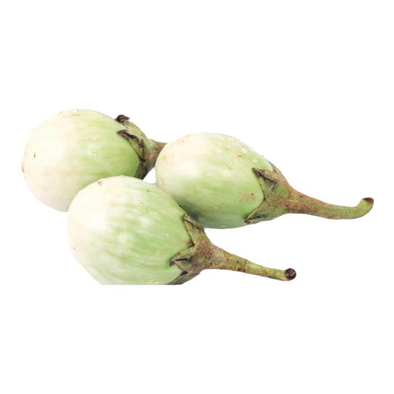 【老一生鲜】 新鲜 泰国小茄子 一口茄 小圆茄 茄子 500g