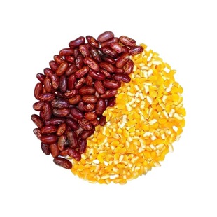 东北大碴子新鲜正宗笨玉米碴子芸豆组合粥农家杂粮早餐饭粗粮香糯