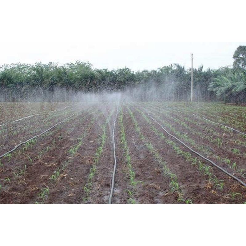 农用水管滴灌带喷灌滴管微带雾化带喷接头喷水带带节水