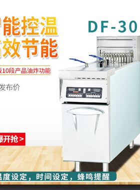 商用DF-30立式电脑板单缸双筛炸炉 带记忆菜单双缸四筛电油炸机器