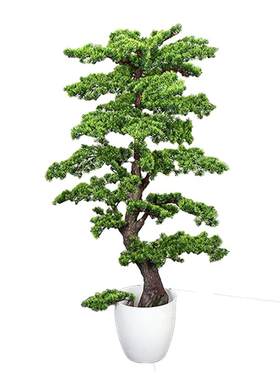 美观仿真植物迎客松sai冠工艺源