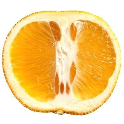 50年老树胡柚产地直发10斤