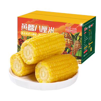 灶小美玉米段新鲜糯玉米真空装现摘苞米早餐粗粮内蒙古黏糯玉米段
