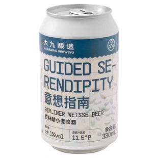 大九酿造意想指南柏林酸小麦精酿易拉罐金桔柠檬鲜啤果酒