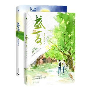 某某小说正版全2册盛夏小说刷边典藏版套装2册木苏里著青春校园破镜重圆文校园纯爱双男主小说原耽实体书江添盛望龛世判官一级律师