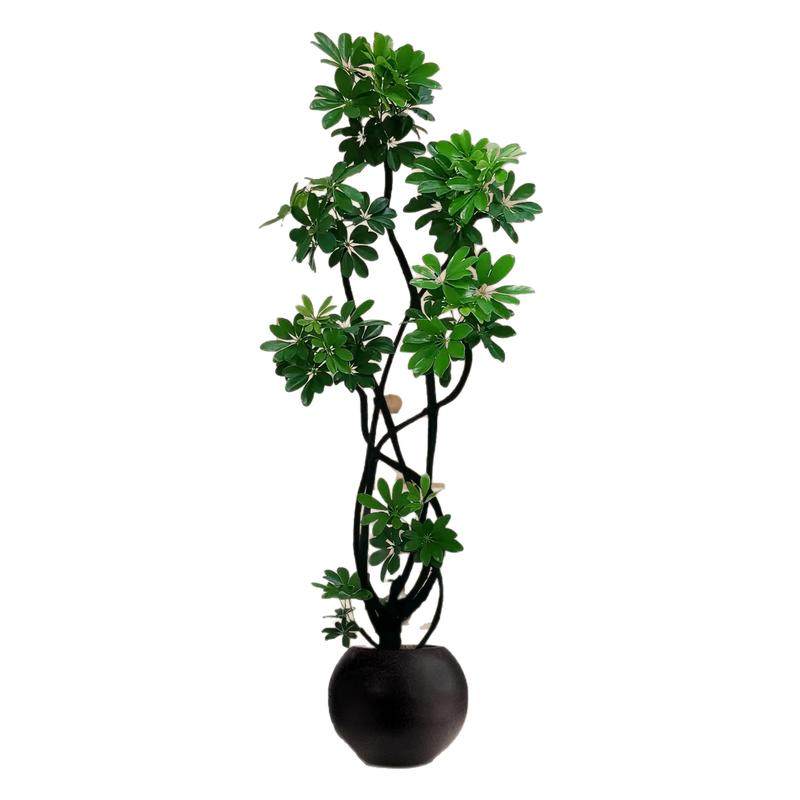 鸭脚木客厅绿植大盆栽室内高级感大型植物八方来财鸭掌木高端大气