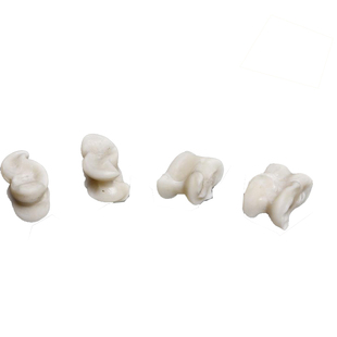 羊嘎拉哈 羊拐骨 解压玩具旮旯哈羊骨头子80后怀旧玩具包邮