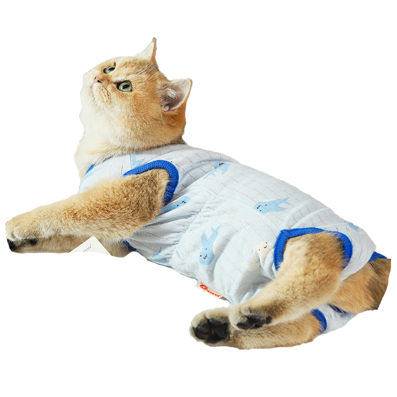 猫咪纯棉透气护肚衣,可当绝育服