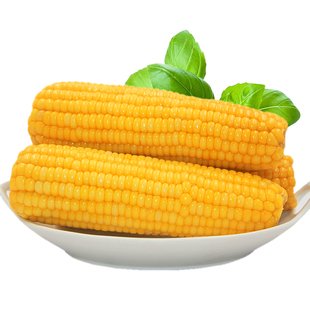 山西忻州甜糯黄玉米新鲜大棒非转基因粘黏玉米粗粮主食代餐真空装