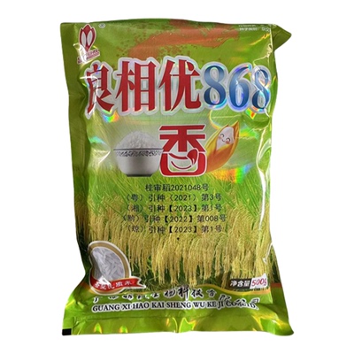 浓香型水稻种子良相优868长粒型国标三级香米口感软糯