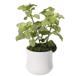 晶华高仿真迷你小盆栽仿真绿植小盆栽客厅茶几装饰盆栽绿植摆件