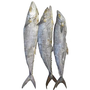 台山特产腌制梅香咸鱼梅香马鲛鱼马胶咸鱼广东茄子煲味去头尾500g