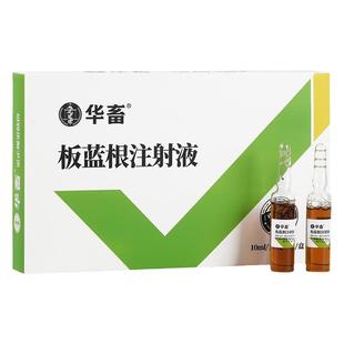 华畜兽药针剂板蓝根注射用液猪流感抗菌混感高热兽用牛羊发烧肺炎