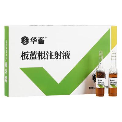 华畜兽药板蓝根注射用液猪流感