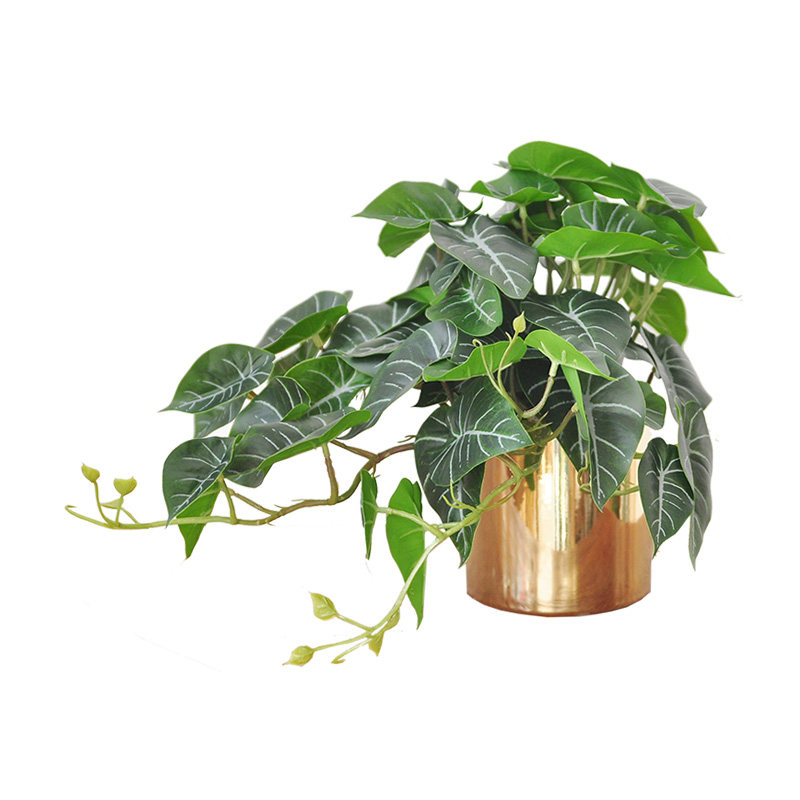 九思仿真植物仙洞龟背垂吊盆栽