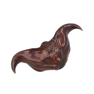 高产菱角种子苗池塘水生植物四季菱角苗种植青菱角种子红菱角苗