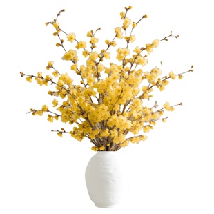 腊梅鲜花水培植物鲜切花枝条家用插花水养干枝年宵花卉室内梅花束