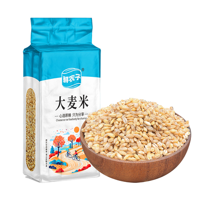 真空包装25年新米东北大麦仁去皮大麦米五谷杂粮粗粮500克
