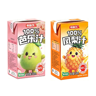 100%凤梨山竹芭乐汁10瓶0脂果汁饮料健康饮品网红爆款大瓶石榴汁