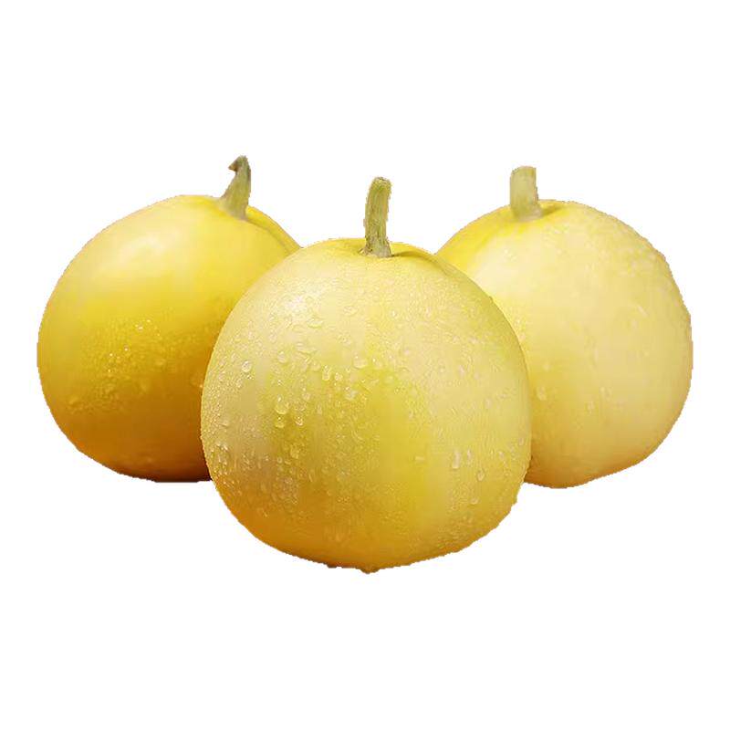 正宗香甜4-8个装山东小蜜蜂甜瓜