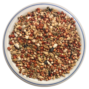 美顿宝观赏鸽无玉米无豌豆50斤短嘴鸽粮饲料幼种鸽鸟食斑鸠粮营养