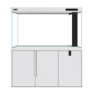 鱼缸客厅大型底滤落地智能屏风家用超白隔断生态2024新款水族箱