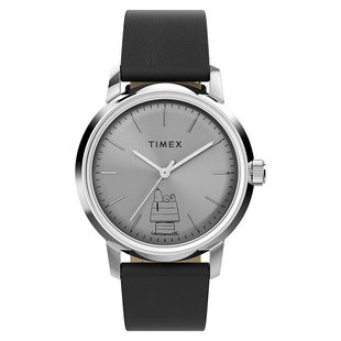 TIMEX天美时Peanuts史努比75周年联名情侣款机械手表男TW2Y10000