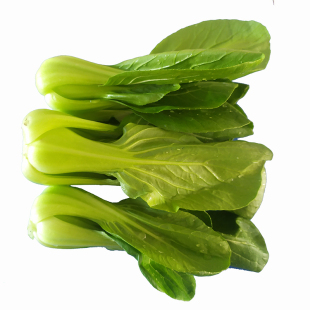 燎原绿色油菜2斤上海青小青菜鸡毛菜绿叶蔬菜新鲜现摘鲜嫩辅食