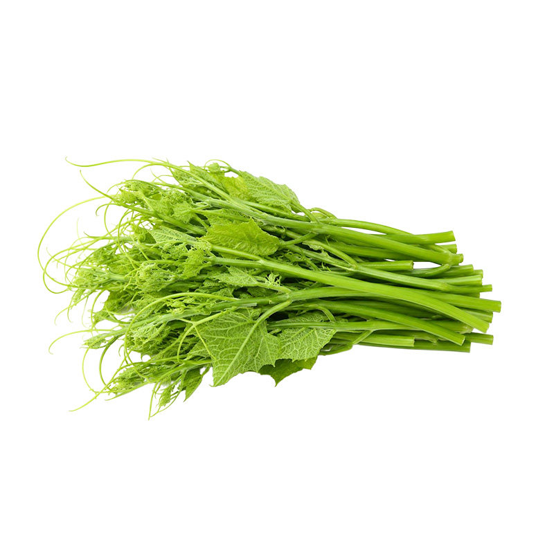 贵州蔬菜佛手瓜尖龙须菜新鲜佛手瓜苗特产野菜凉拌菜当季洋丝瓜尖