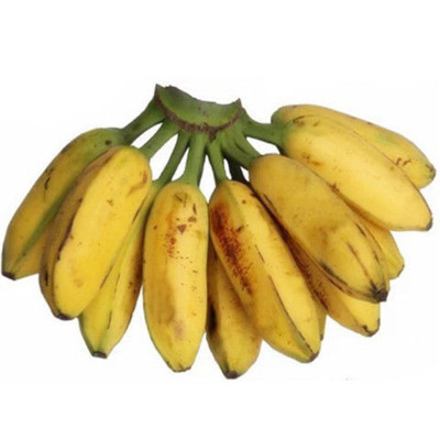 水果无公害小米banana皇帝香蕉