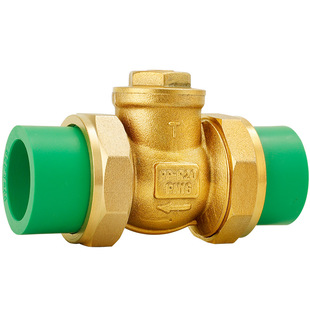 止回阀卧式热熔20PPR双活接逆止自来水管水表25单向阀32铜4分6分