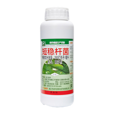 短稳杆菌杨梅果蝇斜纹夜蛾杀虫剂