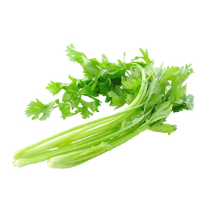 四季小香芹菜苗种子芹菜苗秧蔬菜种籽种白孑各种秧苗根苗菜苗批发