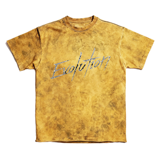 锋味谢霆锋重庆广州苏州演唱会卫衣短袖t恤同款长袖Evolution进化