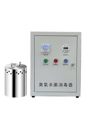 水箱自洁消毒器臭氧杀菌WTS-2A/2B/ZM内外置式消防水生活水微电解