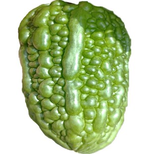 杜阮凉瓜大项苦瓜虎头挂露天种植新鲜现摘清脆无渣农家粤菜圆凉瓜