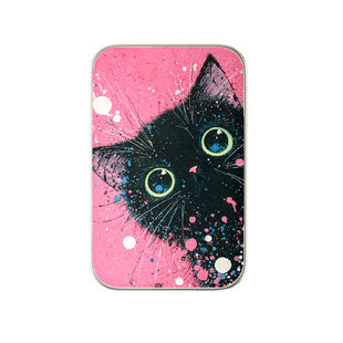 ValueX超薄可定制苹果16p磁吸充电宝2次元动物猫咪3C认证iphone17