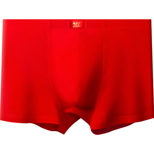 七匹狼男士红内裤男生纯棉平角裤本命年马大红色礼物结婚四角短裤
