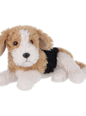 Apricotlamb悠闲比格犬