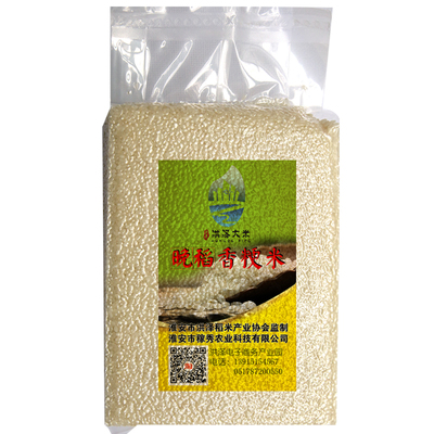 软糯粘稠江苏晚稻胚芽米新鲜大米