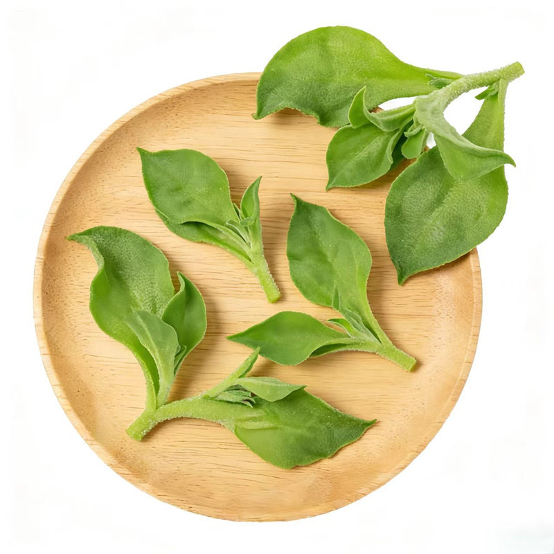冰草冰菜冰叶西餐凉拌沙拉蔬菜