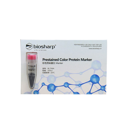 biosharp白鲨 BL706A western blot预染marker 彩色预染蛋白质分子量标准品(10-180kD)