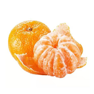 碰柑树苗椪柑柑橘树苗四川直 椪柑嫁接柑桔苗芦柑苗果树苗