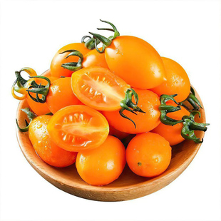 电白香芒皇后圣女果礼盒装小番茄西红柿樱桃现发应季水果爆汁顺丰