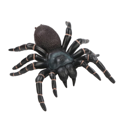 昆虫模型玩具仿真蝴蝶螳螂蜘蛛