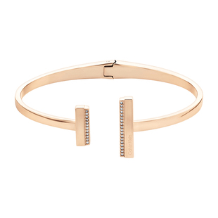 BANGLE - 2023 Calvin Klein Minimal Linear 35000162 - CK手镯