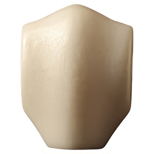 天然鹿角驼骨鲨鱼背三通文玩佛头根付星月菩提根配饰佛珠手串配件