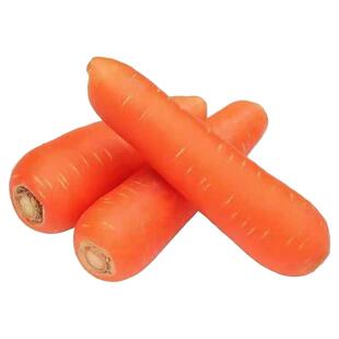 河南新鲜便宜胡萝卜现挖带泥发农家自种老品种大小红萝卜当季蔬菜